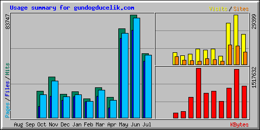 Usage summary for gundogducelik.com